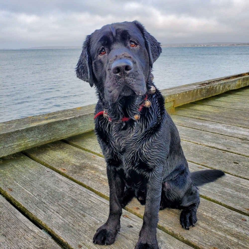 MEET THE BENEFICIARIES